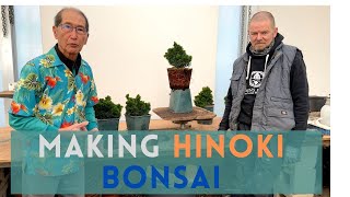 Different ways to Bonsai Hinoki