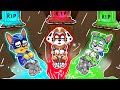 What Happened to PAW Patrol?? Please Don't Go!! 😭 - Very Sad Story - Paw Patrol Ultimate Rescue