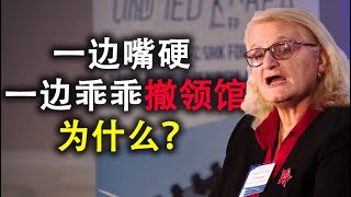 休士顿中领馆为啥乖乖按时撤掉?这说明了美中关系的哪两个问题?中共的如意算盘能打成吗?来听前美国国务院外交官的精辟分析|辛恬-走入美国