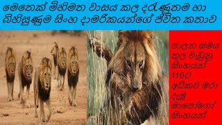 Mapogo Lions - මිහිමත වාසය කල දරැණුතම සිංහ කණ්ඩායම - අභිරහස් සටහන -Abhirahas Satahana