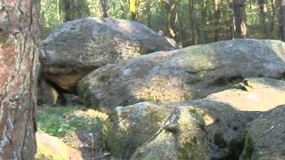 Herßum (Herssum), Emsland, Germany - old stonegrave - chamber-grave built 2300-1800 BC