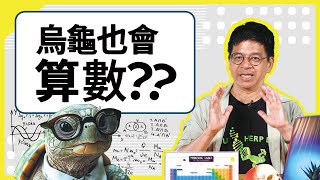 烏龜會算數！？去上幼稚園也沒問題！？牠比你想像的更聰明！｜科普名人堂