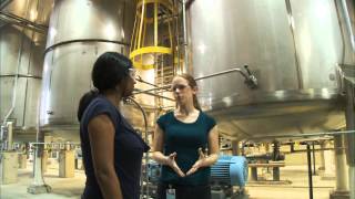 What Does a Chemical Engineer Do? - Careers in Science and Engineering