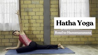 Hatha Yoga - Road to Hanumanasana Part 2