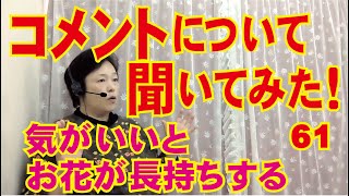 コメントについて聞いてみた61気がいいとお花が長持ちする