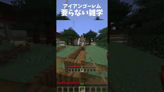 アイアンゴーレムの謎の仕様【マイクラ】