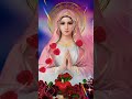 chercher avec toi dans nos vies les pas de dieu vierge marie 🌹🙏