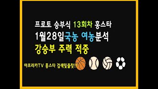 1월28일 프로토 승부식 13회차 국농분석 여농분석