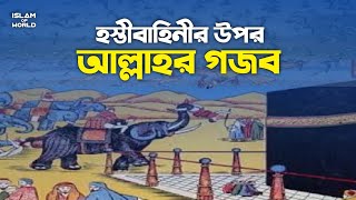 কাবা ঘর ভাংতে এসে বিশাল হস্তী বাহিনী যেভাবে ধ্বংস হয়েছিলো? | কে এই হস্তী বাহিনী? | elephant army