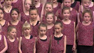 Palmerston Primary Kapa Haka. Otago Polyfest 2019