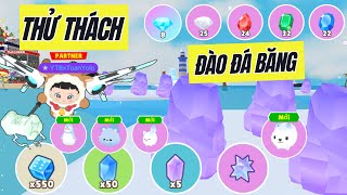 Play Together | Toan Yolo Thử Đào Đá Băng Ở Khu Vực Trống Và Nhận Pet Băng Mới