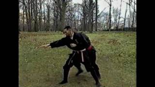 Nindo Ryu Taijutsu (Wind)