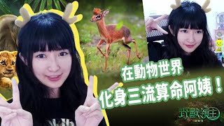 【小熊】在動物世界裡化身算命阿姨 | 小熊遊戲精華｜野獸領主：新世界