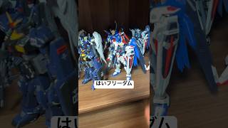 一番くじフリーダムガンダム胸像に足りないもの、、、Wing？ #ガンダム #gundam #一番くじ #a賞 #freedom #seed #羽 #翼 #アニメ #anime #映画 #shorts