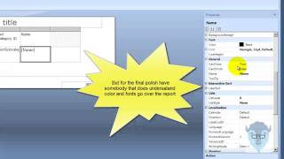55005 4 Report Builder 3 0 Formatting