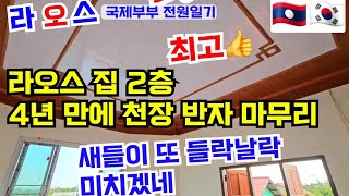 4년 만에 2층 반자 작업, 그래도 새를 막을 수 없다니.. (라오스 집 인테리어 2)