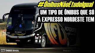 #ÔnibusNãoÉtudoIgual | OS ÔNIBUS QUE SÓ A EXPRESSO NORDESTE TEM