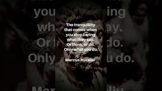 TOTAL PEACE OF MIND - Stoic Quote - Marcus Aurelius #shorts