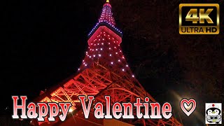 【4K】 Happy Valentine ♡ 夜の東京タワーを散策 『Walk around Tokyo Tower at night』