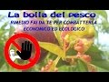 LA BOLLA DEL PESCO COME COMBATTERLA CON UN RIMEDIO FAI DA TE