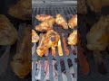 Beef Tallow injected Chicken wings