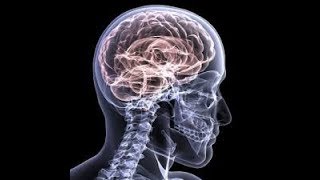 Why Study Psychology?