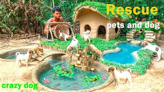 🔥❤Rescue Abandoned Puppies Building Mud House Dog And Fish Pond For Red Fish🔥❤