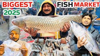 Ghazipur Fish Mandi Delhi Today Price 2025 ghazipur machli mandi wholesale ghazipur Fish market Near