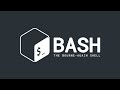 Bash Scripting: Variable assignment and echo command
