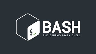 Bash Scripting: Variable assignment and echo command