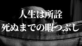 人生は死ぬまでの暇つぶし。そう考えることで生きるのが楽になる