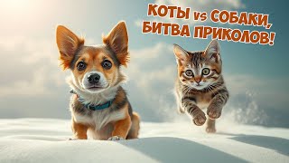 Я провел эксперимент 🐾😂 со своими питомцами 🐶🐱 и был шокирован результатами 🤪 #котики #котыприколы