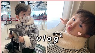 [VLOG] 씩씩하게 등원하는 어린이 👶🏻 , 출산 전 마지막 비행기탑승 ✈️, 입덧 끝나고 먹덧시작😋(임신 24~25주차🤰🏻)