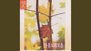 Under the Umbrella in the Autumn Rain (가을비 우산속)