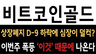 비트코인골드[BTG] 상장폐지 D-9 고래들은 매집! 개인 급락에 털렸다