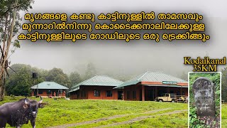 പാമ്പാടുംഷോലയിലെ കാട്ടിനുള്ളിലെ താമസവും കാട്ടുപോത്തിനേയും മറ്റു മൃഗങ്ങളെയും കണ്ടു Forest trecking