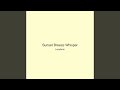 Sunset Breeze Whisper