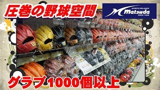 【日本最大級の野球専門店】奈良県随一のマツダスポーツに潜入してみた【圧巻の品揃え】