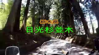 〔栃木県〕日光杉並木に行ってみた！