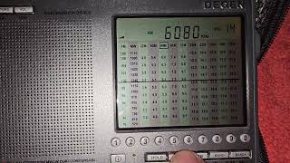 DEGEN DE1103\\ВЭФ-204. 6080 кгц. VOICE OF AMERICA