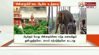 சின்னதம்பி யானையை பிடித்து வனத்துறை கட்டுப்பாட்டில் வைக்க உயர்நீதிமன்றம் உத்தரவு