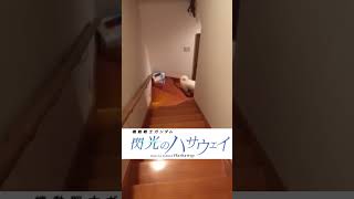 ケツでセンサーを反応させる白犬。#shorts #閃光のハサウェイ #柴犬