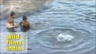 Young boys swimming in a river in Kerala