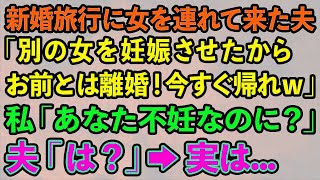 【スカッとする話】新婚旅行に女を連れて来た夫「別の女を妊娠させたからお前とは離婚！今すぐ帰れｗ」私「あなた不妊なのに？」夫「は？」→実は...【修羅場】