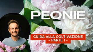 Come coltivare la PEONIA e prendersene cura al meglio. - PARTE 1 -