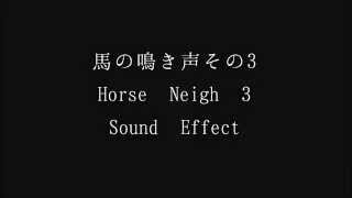 【サウンドエフェクト】馬の鳴き声その3　Horse Neigh 3 Sound Effect