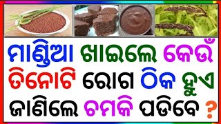 Top 20 General knowledge |GK In Odia|GK Question and Answer #gk