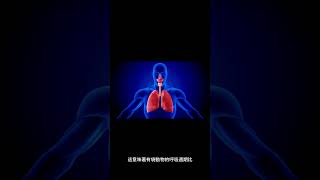 刷尾負鼠在有袋動物中有何獨特之處？ #shorts