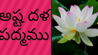 Astadala padmam rangoli/అష్టదళ పద్మం /లక్ష్మి దేవి పద్మం