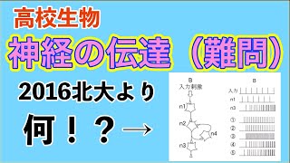 高校生物「神経の伝達 練習問題（難問）」